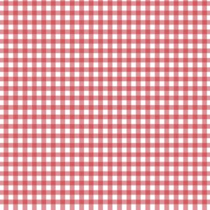 Gingham Check